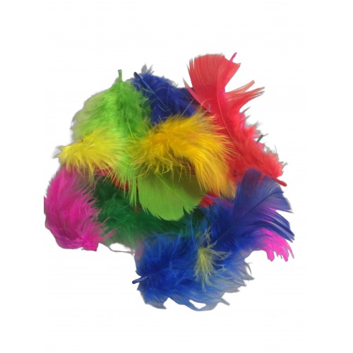 Craft Feathers Bright Mix 5 Gram