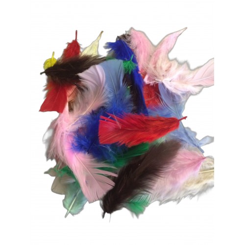 Craft Feathers Mixed Colors 5 Gram