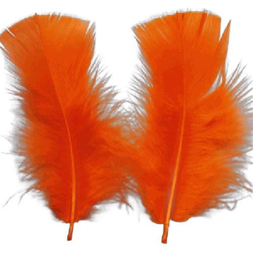 Craft Feathers Orange 5 Gram Craft Feathers Orange 5 Gram