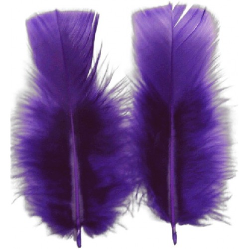 Craft Feathers Purple 5 Gram Craft Feathers Purple 5 Gram